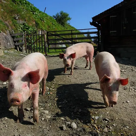 Διαμέρισμα Stockinger *