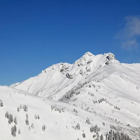 Stockinger Apartment Großarl
