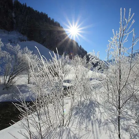 Stockinger Apartment Großarl